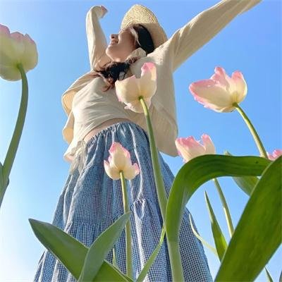 万紫千红花弄蝶